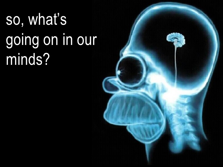 Homer Simpson Tiny Brain X-Ray meme 