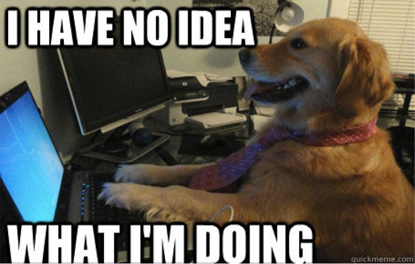 Dog meme joking about how to avoid going into the film business without going in over your head. 